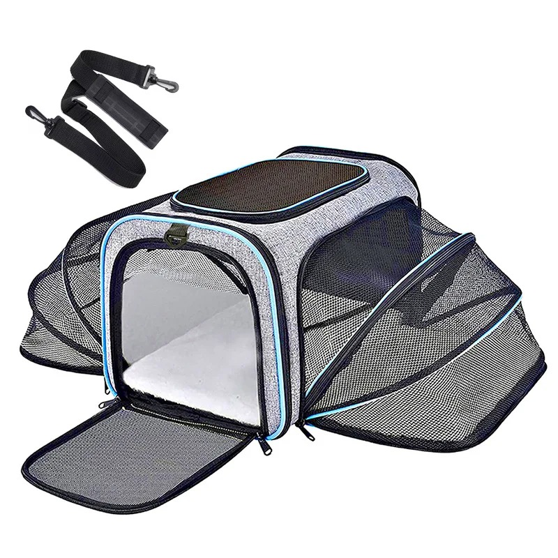 Przenośny, oddychający, składa – Foldable Backpack Small recenzja i cena