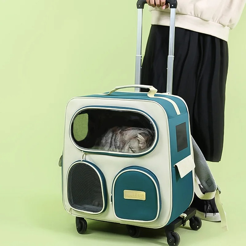 Przenośny plecak-transporter d – Foldable Backpack Small recenzja i cena