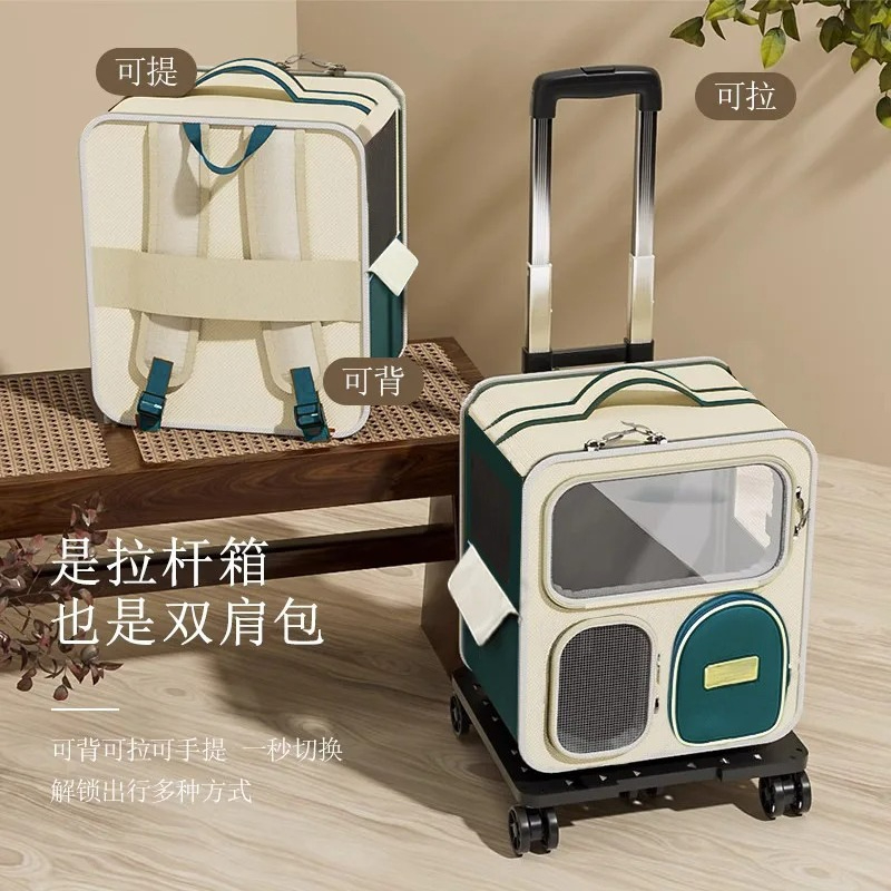 Przenośny plecak-transporter d – Foldable Backpack Small recenzja i cena